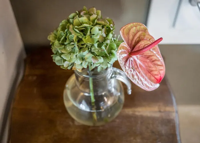 La Casa Di Valeria - Modène